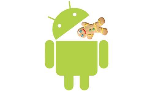 Android Gingerbread 3.0 previsto per la fine dell'anno