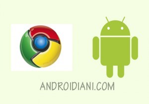 In Attesa Di Chrome Os , Android Per PC