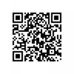 qr code gesture search