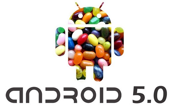 Android 5.0 Jelly Bean: uscita ufficiale durante il Q3 2012?