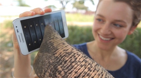 Un elefante utilizza un Galaxy Note: ecco il nuovo spot Samsung