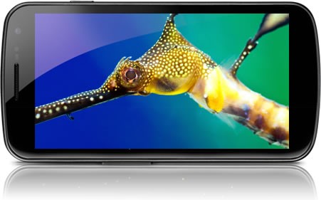 Samsung Galaxy Nexus: nuovo kernel per migliorare la qualità del display