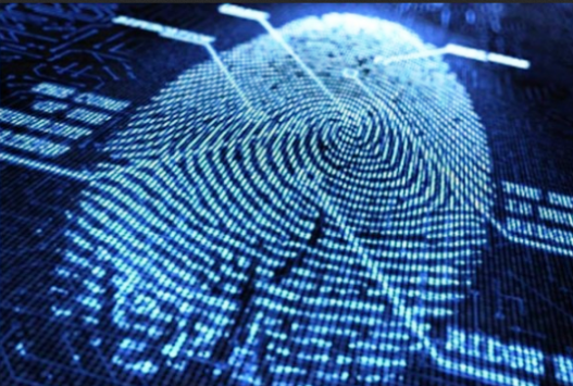 LG potrebbe inserire il sensore di impronte digitali in tutti gli smartphones di punta del 2014