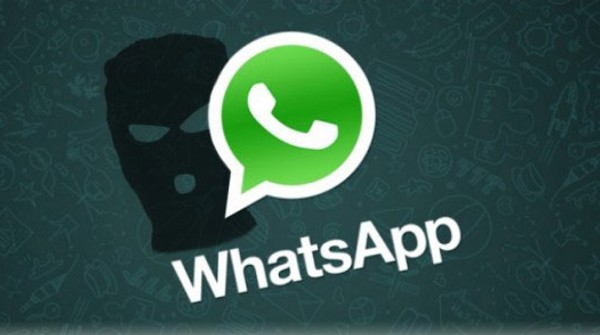 Privacy al sicuro su Whatsapp? Non secondo WhatsSpy Public