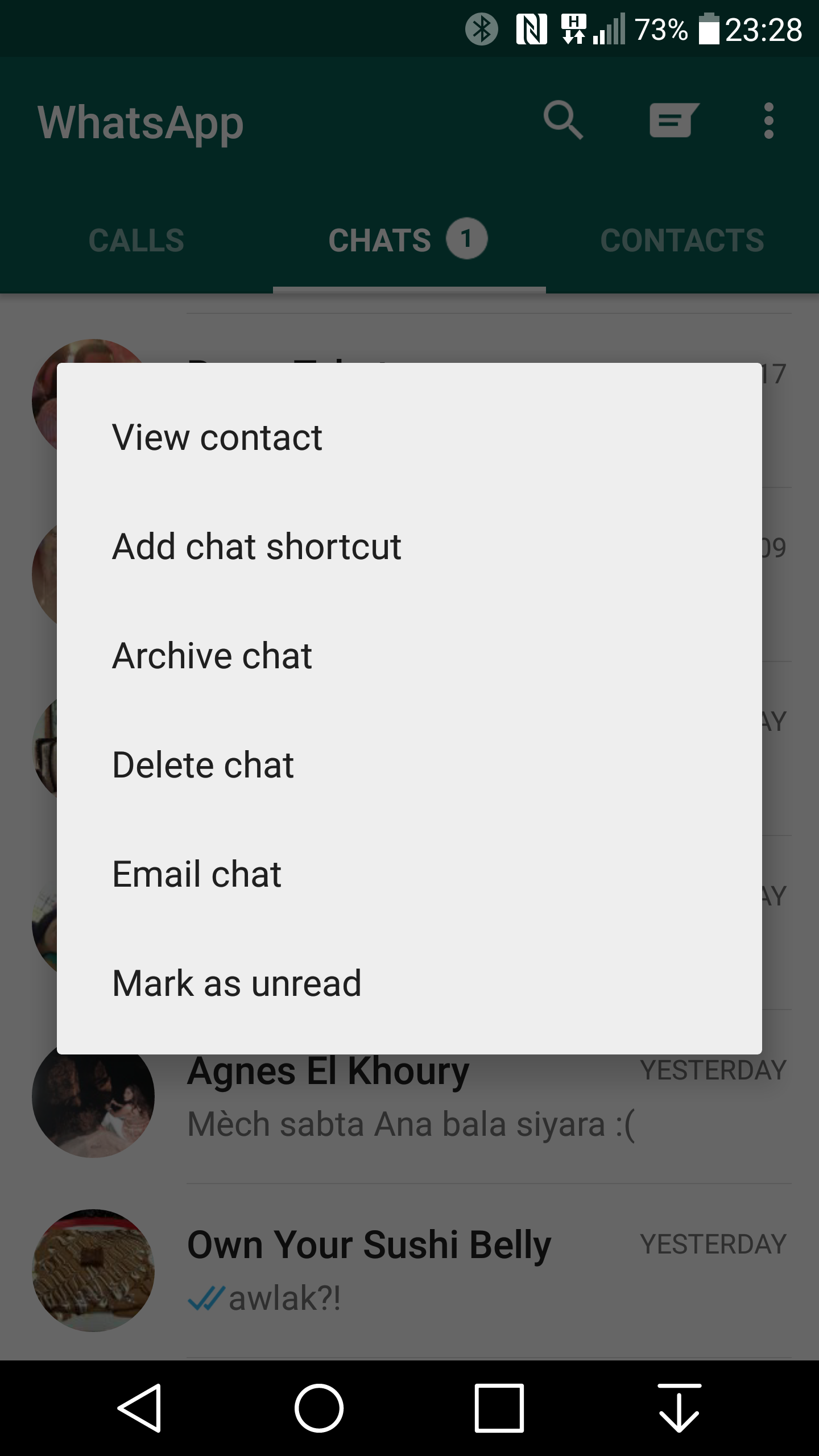 screen Whatsapp 1