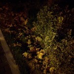 Nexus 6P