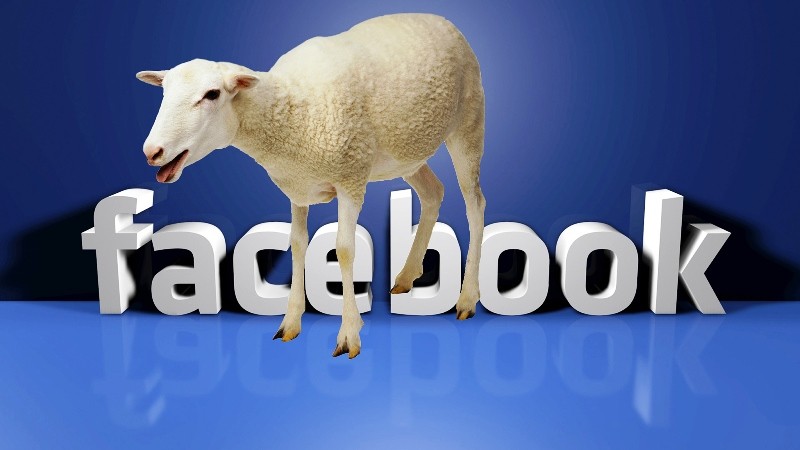 Facebook gli iscritti torneranno sempre, anche dopo i crash