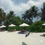 Xiaomi Mi 5