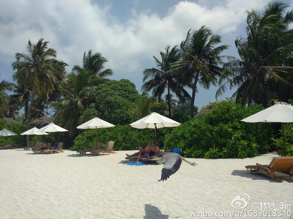 Xiaomi Mi 5