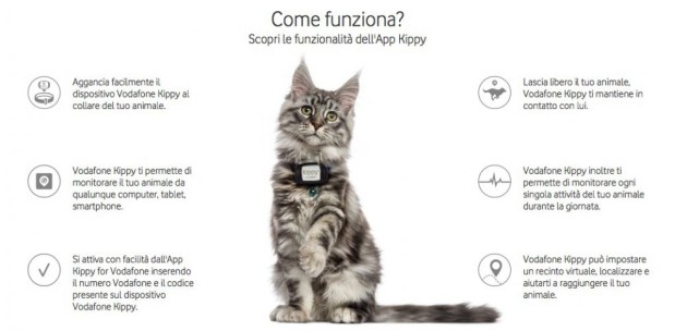 Vodafone Kippy: nuovo wearable per cani e gatti