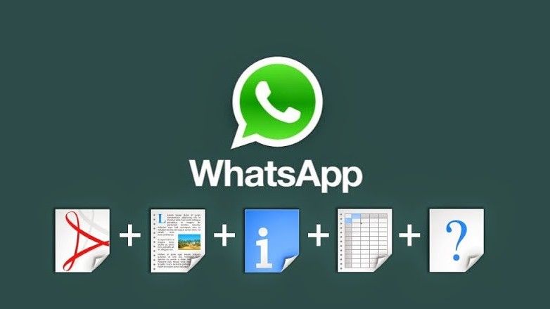 Whatsapp documenti