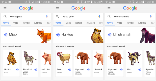 Google Search può ora insegnarvi i versi degli animali