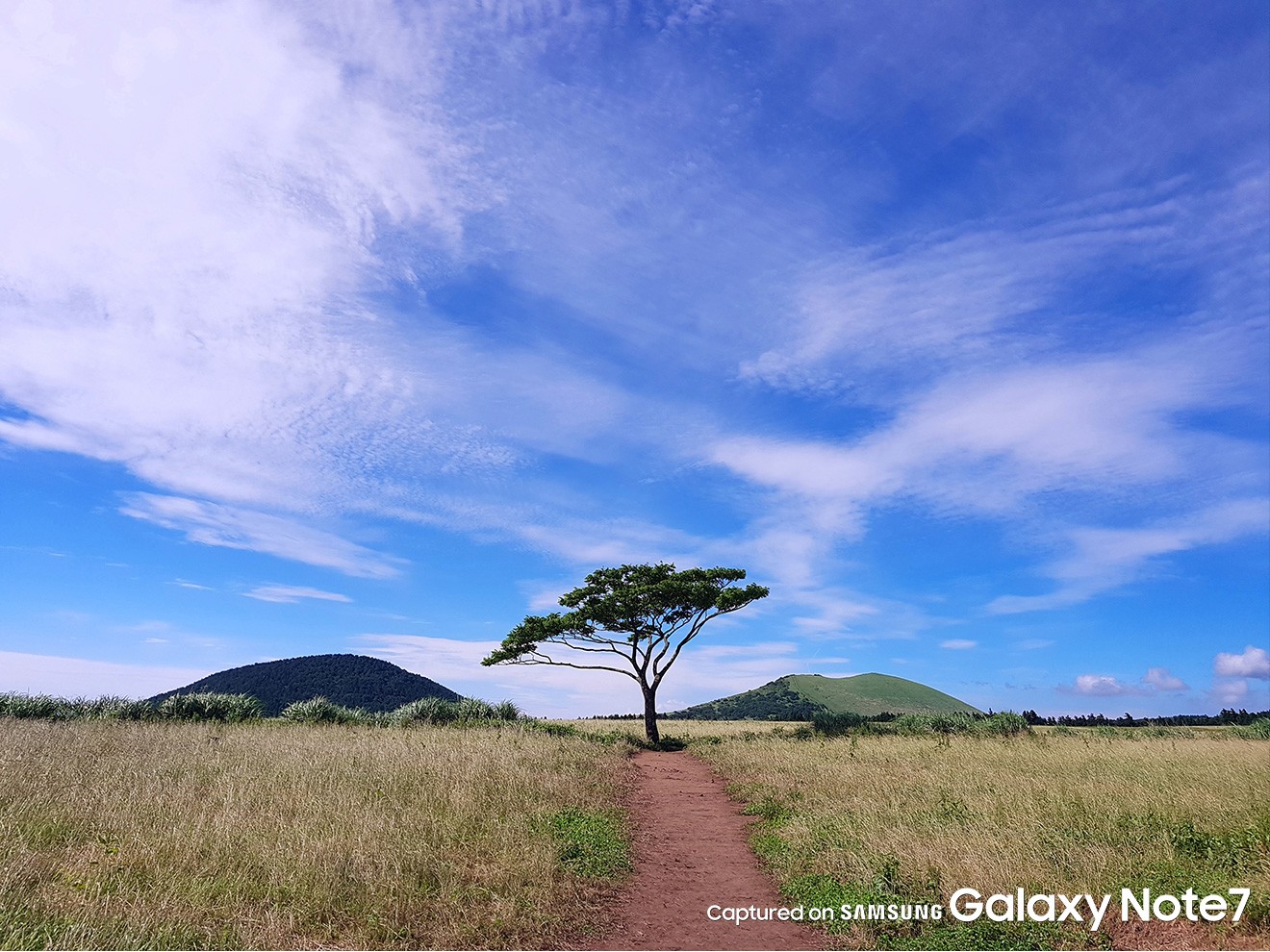 Galaxy Note 7