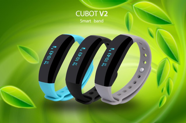 cubot v2