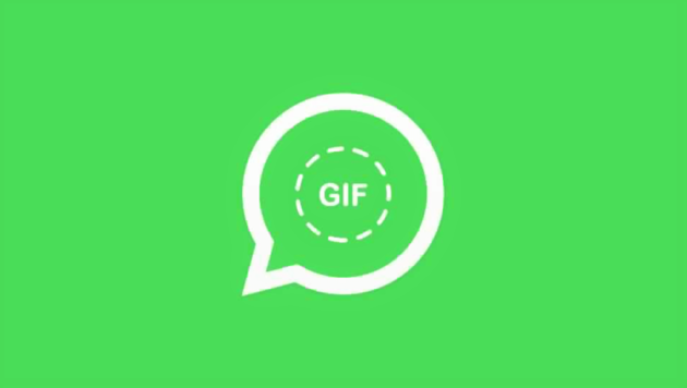 WhatsApp introduce ufficialmente il supporto alle GIF
