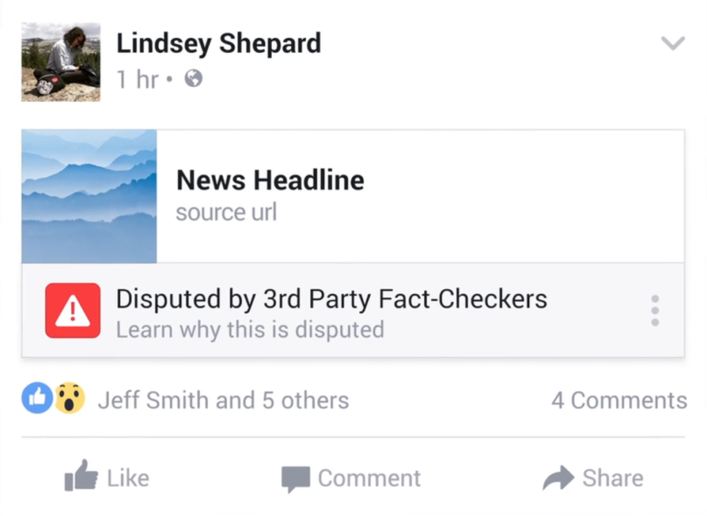 Facebook così combatteremo le bufale online (2)