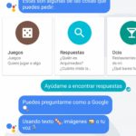 Assistant