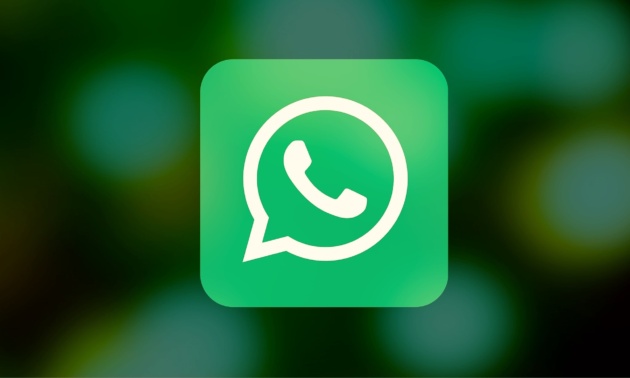 Whatsapp Beta si aggiorna con la condivisione dello schermo
