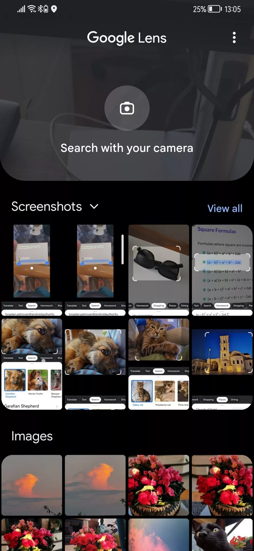 GoogleLens